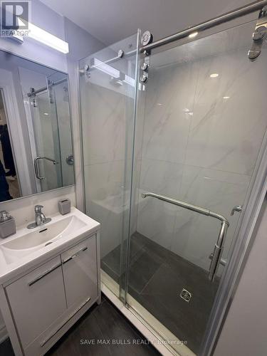 Basement - 4 Gillivary Drive, Whitby, ON - Indoor Photo Showing Bathroom