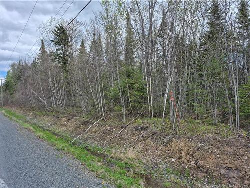 0 Banks Rd, Durham Bridge, NB 