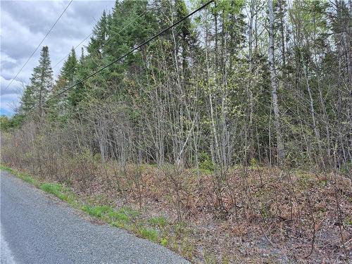 0 Banks Rd, Durham Bridge, NB 