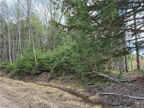 0 Banks Rd, Durham Bridge, NB 