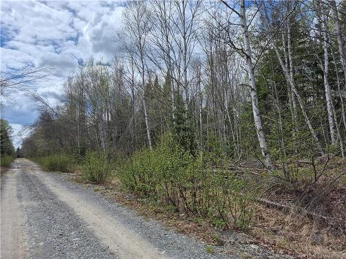 0 Banks Rd, Durham Bridge, NB 