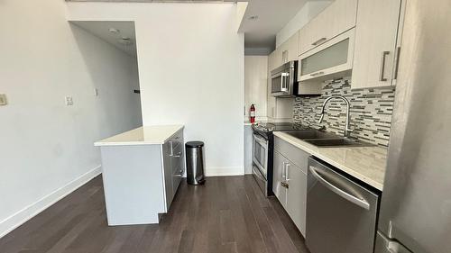 Cuisine - 9-1216 Rue St-Hubert, Montréal (Ville-Marie), QC - Indoor Photo Showing Kitchen With Double Sink With Upgraded Kitchen