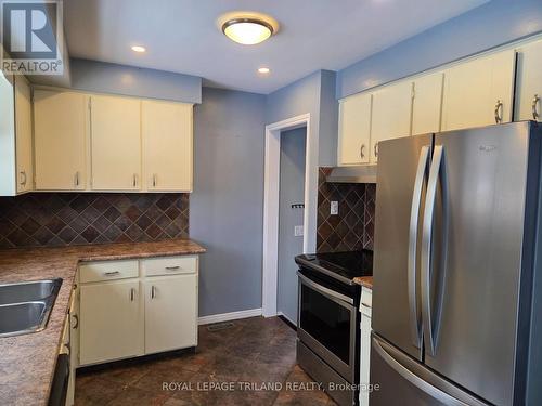 17 Vanbuskirk Drive, St. Thomas, ON - Indoor Photo Showing Kitchen With Double Sink