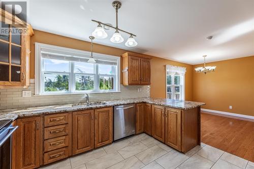 115 Western Island Pond Drive, Torbay, NL - Indoor Photo Showing Kitchen With Double Sink