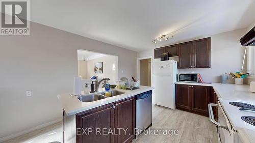 26 Ramsey Crescent, Hamilton, ON - Indoor Photo Showing Kitchen With Double Sink