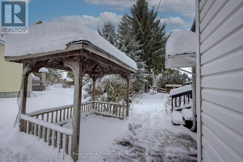 Back Deck - 34 George Street N, West Grey, ON - Outdoor