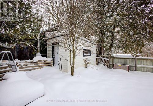 Storage Shed - 34 George Street N, West Grey, ON - Outdoor