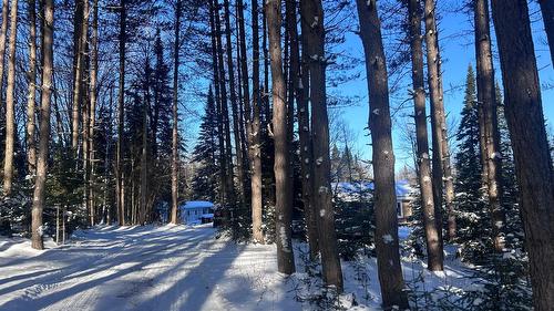 Autre - B-338 Route De St-Malachie, Saint-Damien-De-Buckland, QC - Outdoor With View