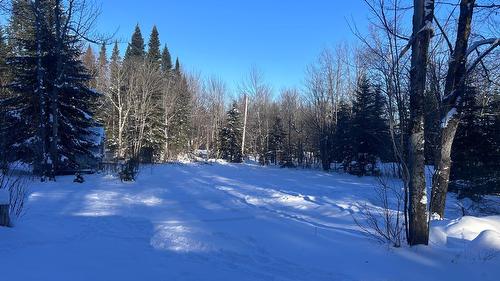 Backyard - B-338 Route De St-Malachie, Saint-Damien-De-Buckland, QC - Outdoor With View