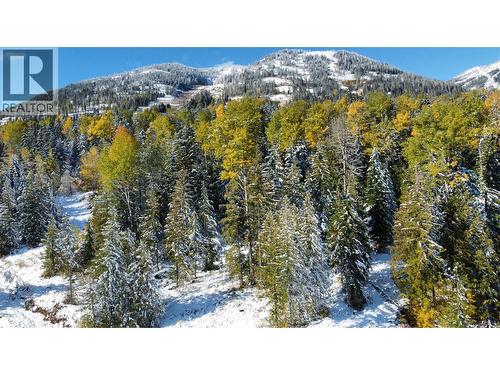 110 Topping Terrace, Rossland, BC 