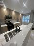 49 Ristau Crescent, Kitchener, ON  - Indoor Photo Showing Kitchen With Double Sink 