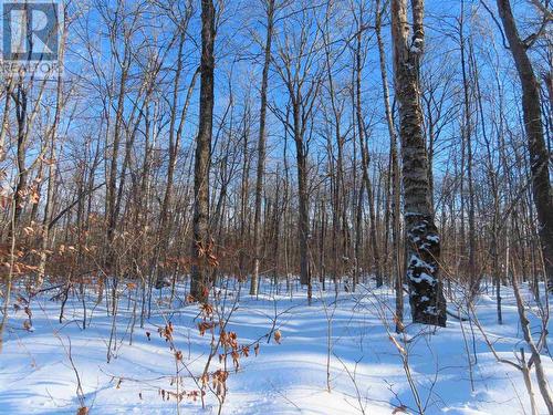 Lot 17 Concession R, Hilton Township, ON 