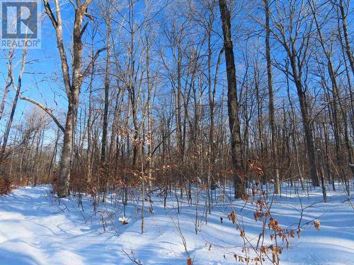 Lot 17 Concession R, Hilton Township, ON 