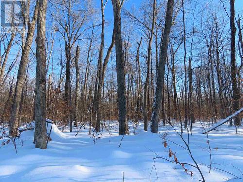 Lot 17 Concession R, Hilton Township, ON 