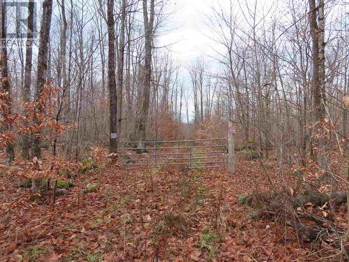 Lot 17 Concession R, Hilton Township, ON 