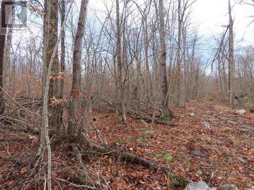 Lot 17 Concession R, Hilton Township, ON 