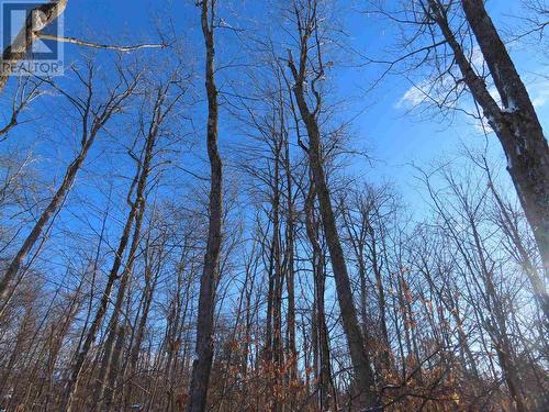 Lot 17 Concession R, Hilton Township, ON 