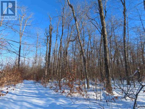Lot 17 Concession R, Hilton Township, ON 