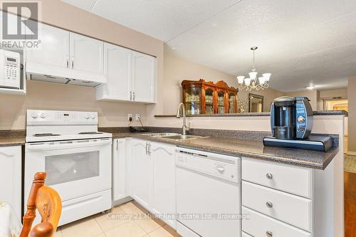111 - 1450 Bishops Gate, Oakville (Ga Glen Abbey), ON - Indoor Photo Showing Kitchen With Double Sink