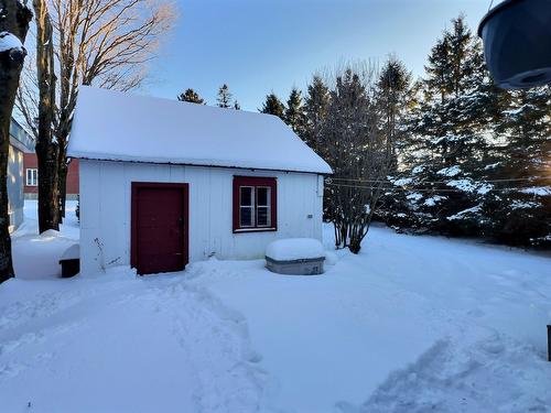 Remise - 98 Rue Morisset, Sainte-Hénédine, QC - Outdoor