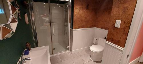 Bathroom - 49 Av. Brien, Laval (Laval-Des-Rapides), QC - Indoor Photo Showing Bathroom