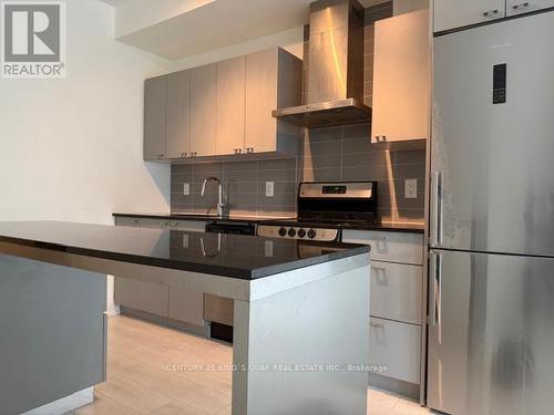 809 - 51 East Liberty Street, Toronto, ON - Indoor Photo Showing Kitchen With Stainless Steel Kitchen