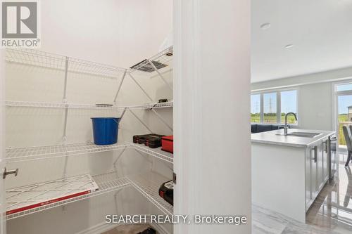 Walk-in storage - 171 Vanilla Trail, Thorold, ON - Indoor With Storage