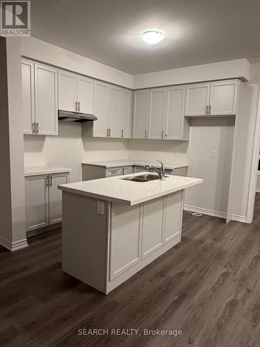 293 Lindsay Street N, Kawartha Lakes, ON - Indoor Photo Showing Kitchen With Double Sink