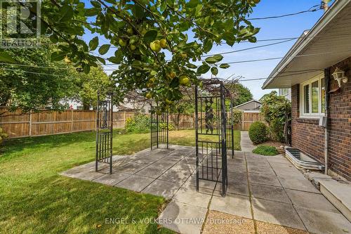 3348 Kodiak Street, Ottawa, ON - Outdoor