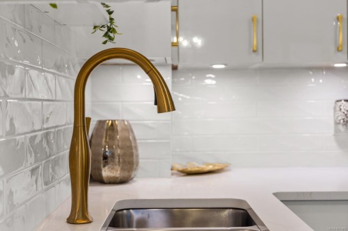 107-225 Belleville St, Victoria, BC - Indoor Photo Showing Kitchen