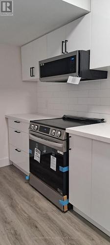 Lower Level - 1659 Rizzardo Crescent, Innisfil, ON - Indoor Photo Showing Kitchen