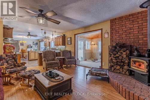 178 Adam & Eve Road, Trent Lakes, ON - Indoor Photo Showing Living Room With Fireplace