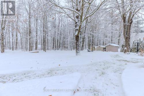 178 Adam & Eve Road, Trent Lakes, ON - Outdoor With View
