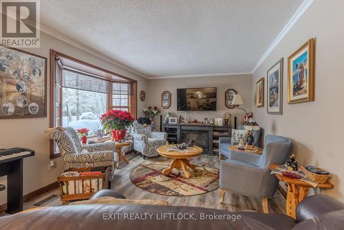 178 Adam & Eve Road, Trent Lakes, ON - Indoor Photo Showing Living Room