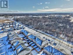 Protected forest across the road. - 