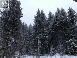 LOT 9 GOLD ROAD  103 Mile House, BC V0K 2E0