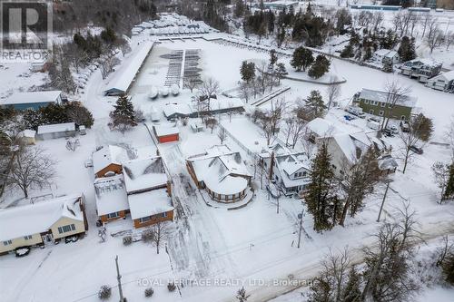 31 Wellington Street, Brock (Beaverton), ON - Outdoor With View