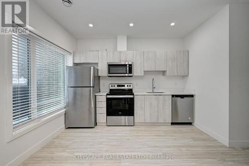 212 - 408 Dundas Street S, Cambridge, ON - Indoor Photo Showing Kitchen With Stainless Steel Kitchen
