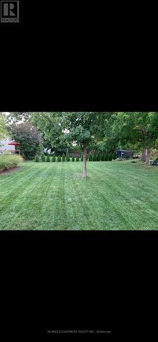 4310 Concord Avenue, Lincoln, ON - Outdoor