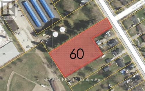 60 Yonge Street N, Springwater, ON 