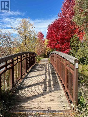 Steps to trails - 98 Lowther Avenue, Richmond Hill, ON - Outdoor