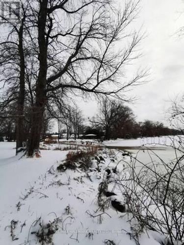 #2 - 19 Shoreline Place, Georgina, ON - Outdoor With View