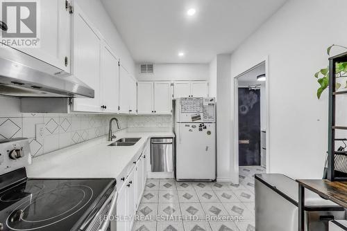 111 - 10 Parkway Forest Drive, Toronto, ON - Indoor Photo Showing Kitchen With Double Sink