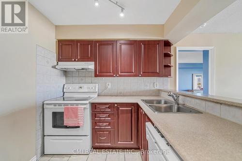 805 - 309 Major Mackenzie Drive E, Richmond Hill, ON - Indoor Photo Showing Kitchen With Double Sink