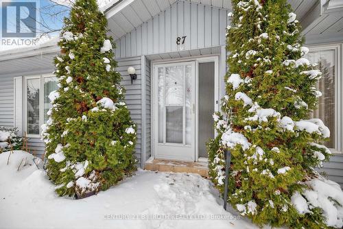 87 Tecumseth Pines Drive, New Tecumseth, ON - Outdoor