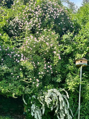 3-12612 Giants Head Road, Summerland, BC - Outdoor