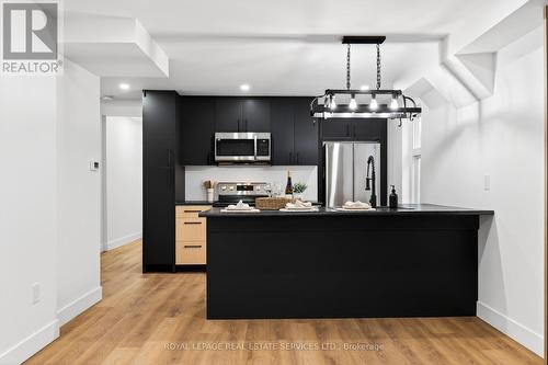 8 Whitfield Avenue, Hamilton, ON - Indoor Photo Showing Kitchen With Stainless Steel Kitchen