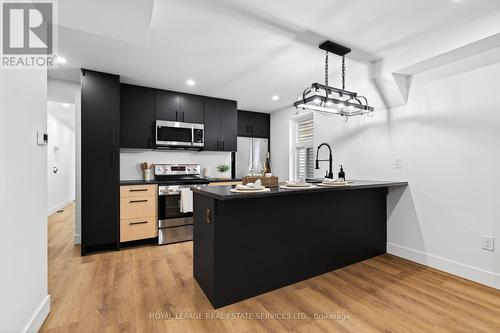 8 Whitfield Avenue, Hamilton, ON - Indoor Photo Showing Kitchen With Stainless Steel Kitchen