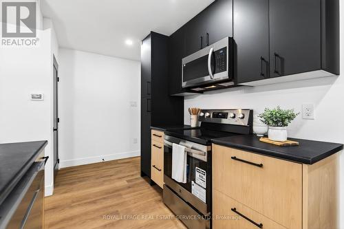 8 Whitfield Avenue, Hamilton, ON - Indoor Photo Showing Kitchen With Stainless Steel Kitchen