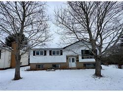 14 SHERWOOD AVE  Riverview, NB E1B 3X7